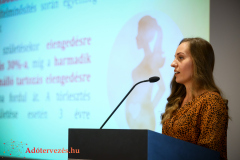 Ingatlanbefektetes-1291